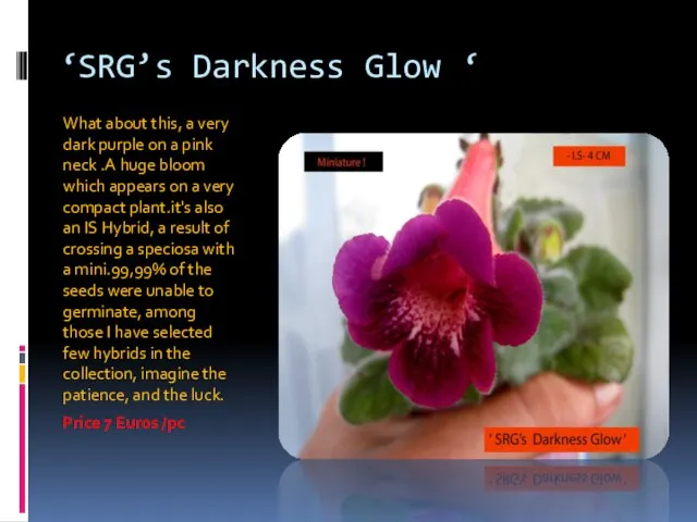 ‘SRG’s Darkness Glow ‘ What about this, a very dark purple