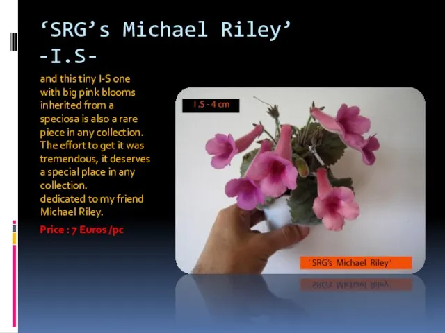 ‘SRG’s Michael Riley’ -I.S- and this tiny I-S one with big