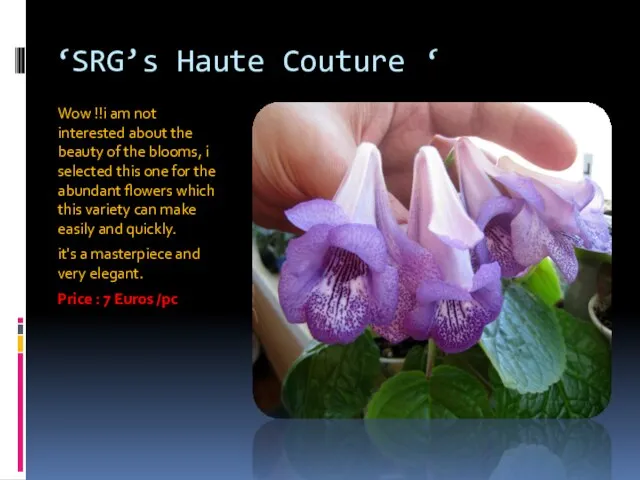 ‘SRG’s Haute Couture ‘ Wow !!i am not interested about the