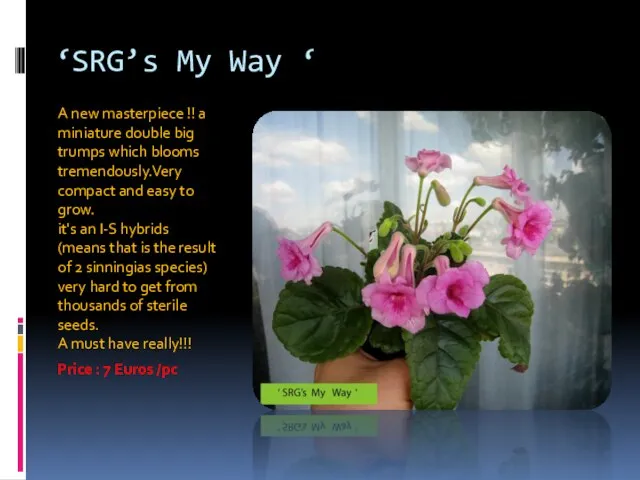 ‘SRG’s My Way ‘ A new masterpiece !! a miniature double