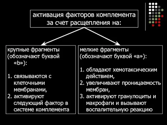 активация факторов комплемента за счет расщепления на: крупные фрагменты (обозначают буквой