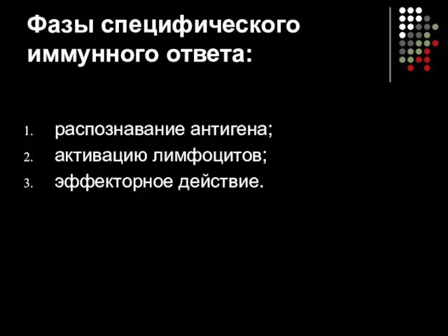 Фазы специфического иммунного ответа: распознавание антигена; активацию лимфоцитов; эффекторное действие.