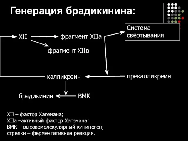 Генерация брадикинина: XII – фактор Хагемана; XIIа –активный фактор Хагемана; ВМК