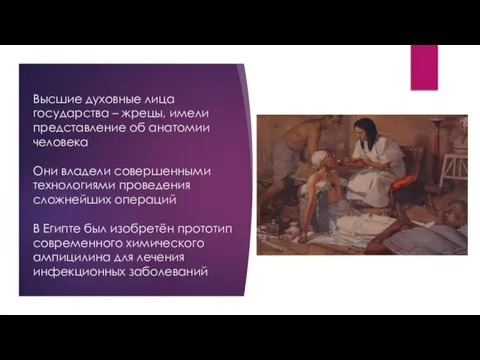 Высшие духовные лица государства – жрецы, имели представление об анатомии человека