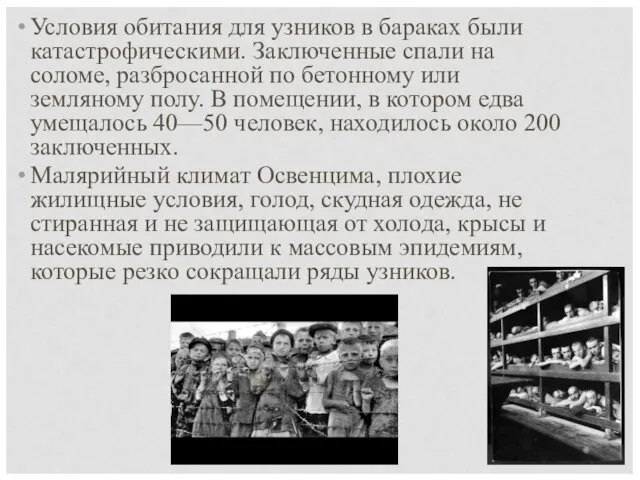 Условия обитания для узников в бараках были катастрофическими. Заключенные спали на