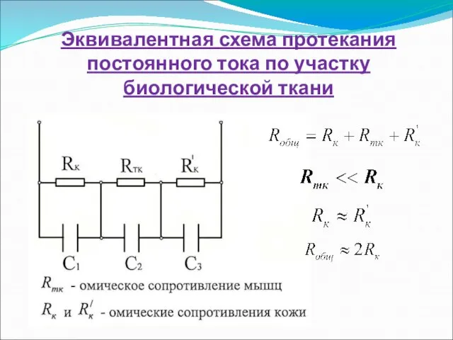 Эквивалентная схема протекания постоянного тока по участку биологической ткани