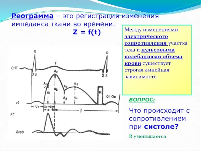 Реограмма – это регистрация изменения импеданса ткани во времени. Z =