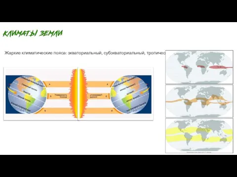 Жаркие климатические пояса: экваториальный, субэкваториальный, тропический.