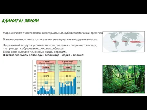 Жаркие климатические пояса: экваториальный, субэкваториальный, тропический. В экваториальном поясе господствуют экваториальные