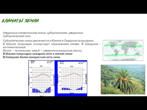 Умеренные климатические пояса: субтропический, умеренный. Субтропический пояс. Субтропические пояса различаются в