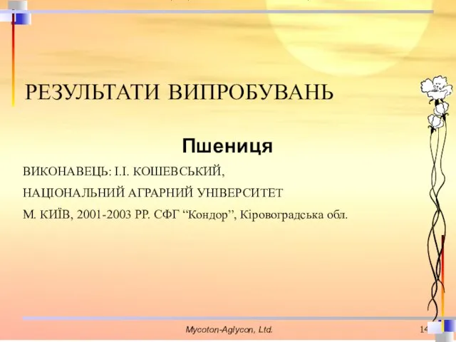 РЕЗУЛЬТАТИ ВИПРОБУВАНЬ Пшениця ВИКОНАВЕЦЬ: І.І. КОШЕВСЬКИЙ, НАЦІОНАЛЬНИЙ АГРАРНИЙ УНІВЕРСИТЕТ М. КИЇВ,