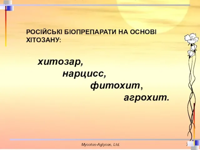 хитозар, нарцисс, фитохит, агрохит. РОСІЙСЬКІ БІОПРЕПАРАТИ НА ОСНОВІ ХІТОЗАНУ: