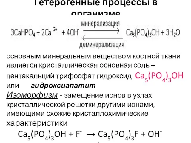 Гетерогенные процессы в организме основным минеральным веществом костной ткани является кристаллическая