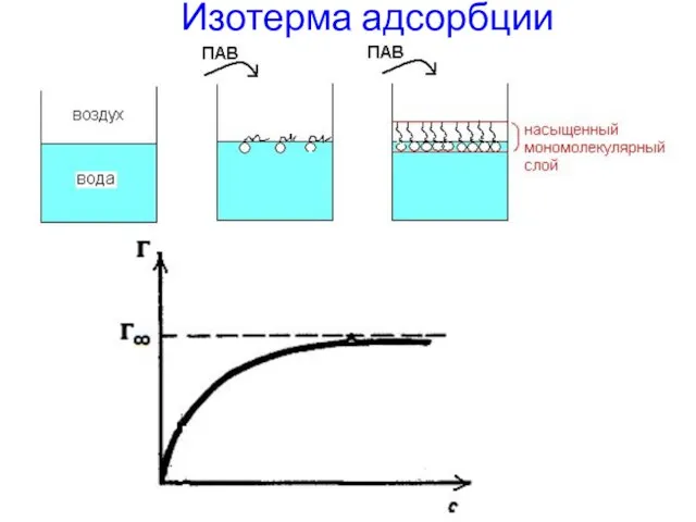 Изотерма адсорбции