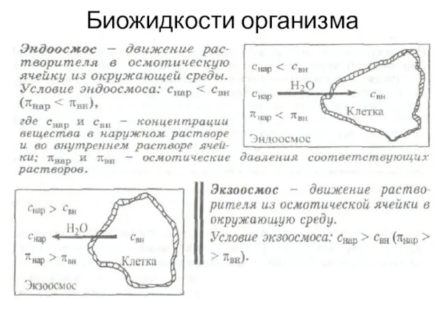 Биожидкости организма