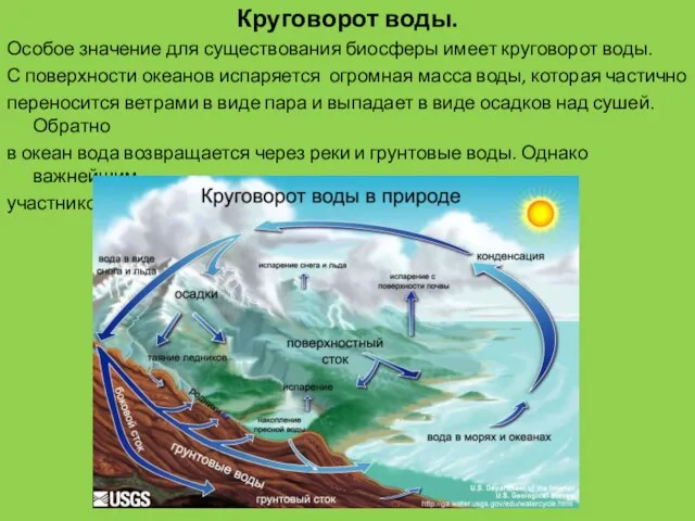 Круговорот воды. Особое значение для существования биосферы имеет круговорот воды. С