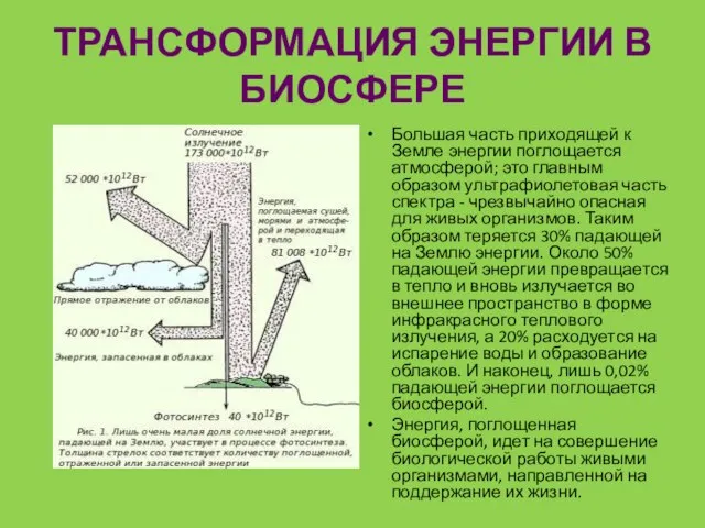 ТРАНСФОРМАЦИЯ ЭНЕРГИИ В БИОСФЕРЕ Большая часть приходящей к Земле энергии поглощается