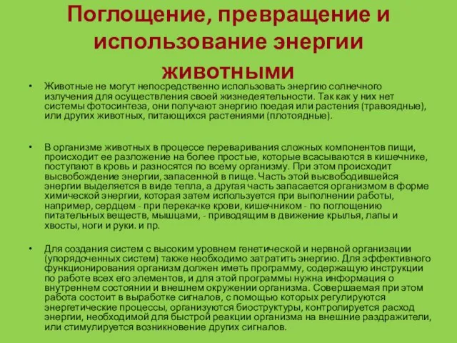 Поглощение, превращение и использование энергии животными Животные не могут непосредственно использовать