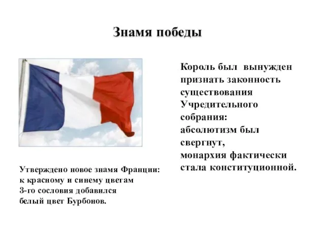 Утверждено новое знамя Франции: к красному и синему цветам 3-го сословия