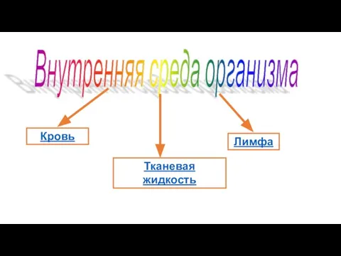 Внутренняя среда организма Кровь Тканевая жидкость Лимфа