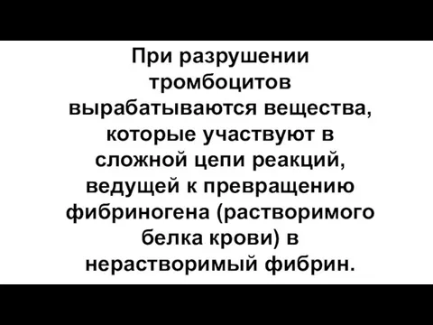 При разрушении тромбоцитов вырабатываются вещества, которые участвуют в сложной цепи реакций,