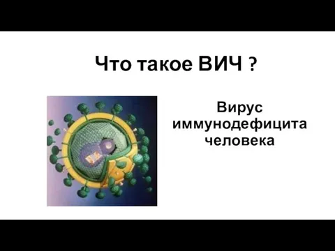 Что такое ВИЧ ? Вирус иммунодефицита человека