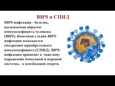 ВИЧ и СПИД ВИЧ-инфекция - болезнь, вызываемая вирусом иммунодефицита человека (ВИЧ).