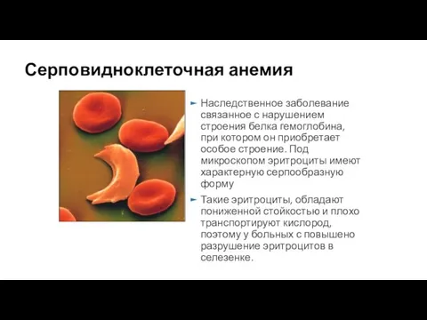 Серповидноклеточная анемия Наследственное заболевание связанное с нарушением строения белка гемоглобина, при