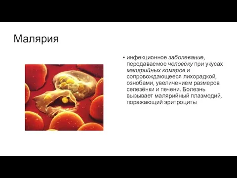 Малярия инфекционное заболевание, передаваемое человеку при укусах малярийных комаров и сопровождающееся