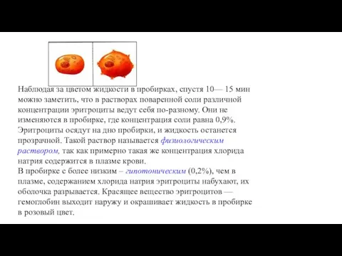 Наблюдая за цветом жидкости в пробирках, спустя 10— 15 мин можно