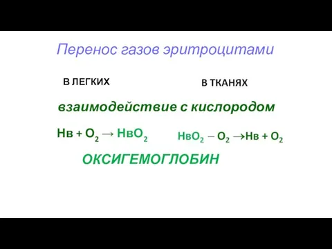 Перенос газов эритроцитами В ЛЕГКИХ взаимодействие с кислородом Нв + О2 → НвО2 ОКСИГЕМОГЛОБИН