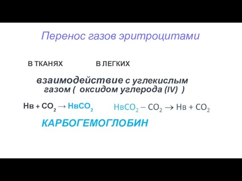 Перенос газов эритроцитами В ТКАНЯХ В ЛЕГКИХ взаимодействие с углекислым газом