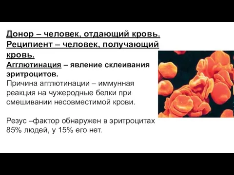 Донор – человек, отдающий кровь. Реципиент – человек, получающий кровь. Агглютинация