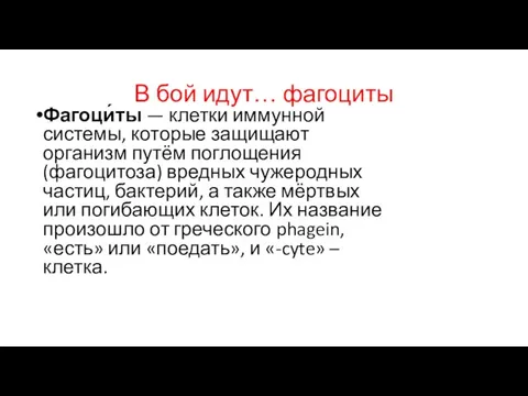 В бой идут… фагоциты Фагоци́ты — клетки иммунной системы, которые защищают