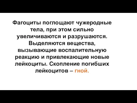 Фагоциты поглощают чужеродные тела, при этом сильно увеличиваются и разрушаются. Выделяются