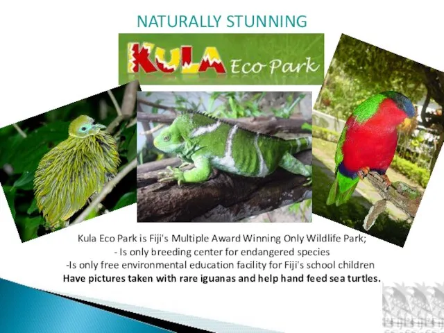 Kula Eco Park is Fiji's Multiple Award Winning Only Wildlife Park;