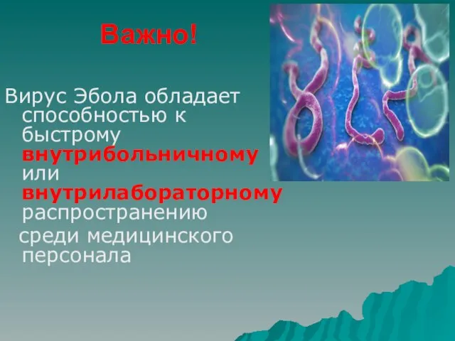 Вирус Эбола обладает способностью к быстрому внутрибольничному или внутрилабораторному распространению среди медицинского персонала Важно!