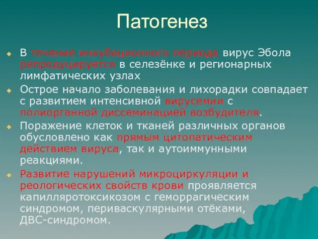 Патогенез В течение инкубационного периода вирус Эбола репродуцируется в селезёнке и