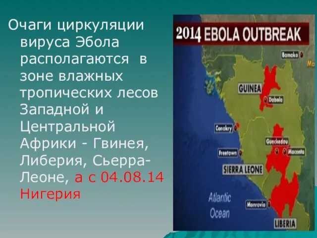 Очаги циркуляции вируса Эбола располагаются в зоне влажных тропических лесов Западной