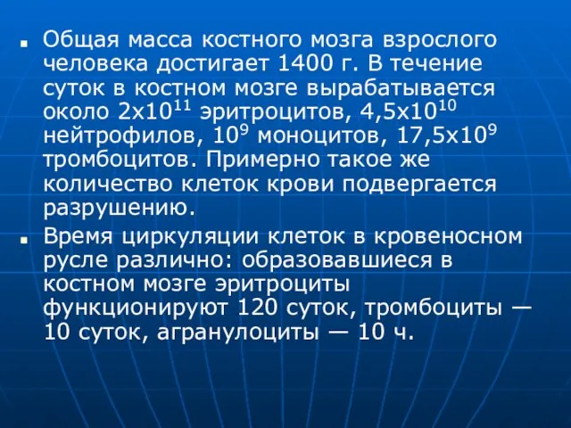 Общая масса костного мозга взрослого человека достигает 1400 г. В течение