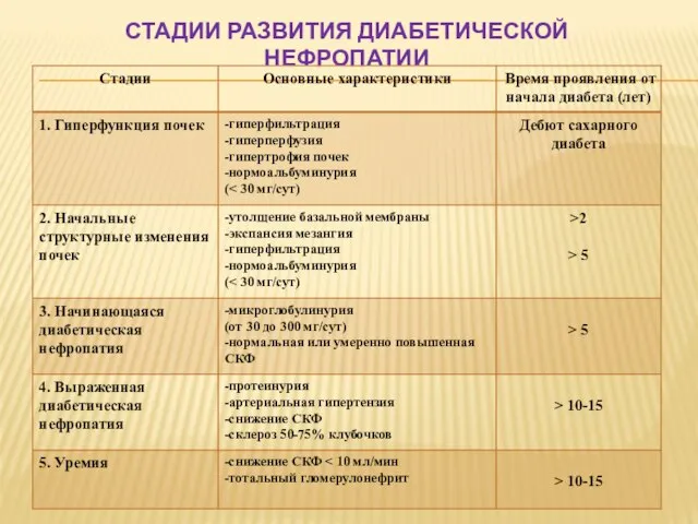 СТАДИИ РАЗВИТИЯ ДИАБЕТИЧЕСКОЙ НЕФРОПАТИИ