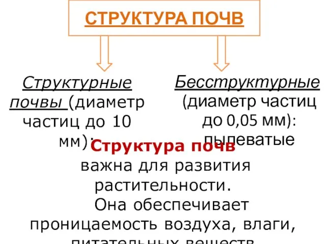 СТРУКТУРА ПОЧВ Бесструктурные (диаметр частиц до 0,05 мм): пылеватые Структурные почвы