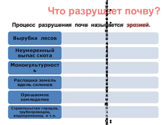 Что разрушает почву? Процесс разрушения почв называется эрозией.