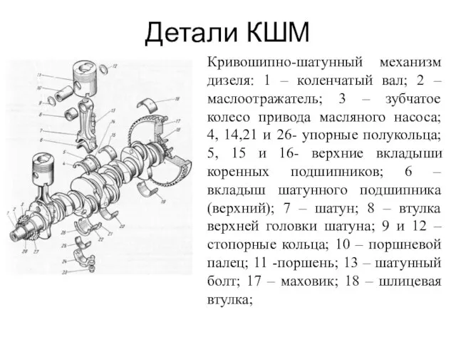 Детали КШМ Кривошипно-шатунный механизм дизеля: 1 – коленчатый вал; 2 –