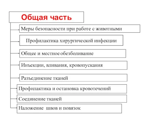 Инъекции, вливания, кровопускания Общее и местное обезболивание Меры безопасности при работе