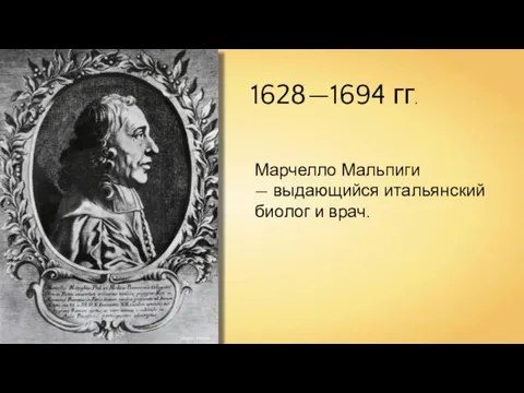 Magnus Manske Марчелло Мальпиги — выдающийся итальянский биолог и врач. 1628—1694 гг.
