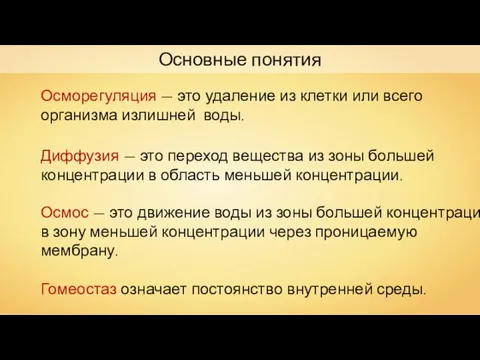 Основные понятия Осморегуляция — это удаление из клетки или всего организма