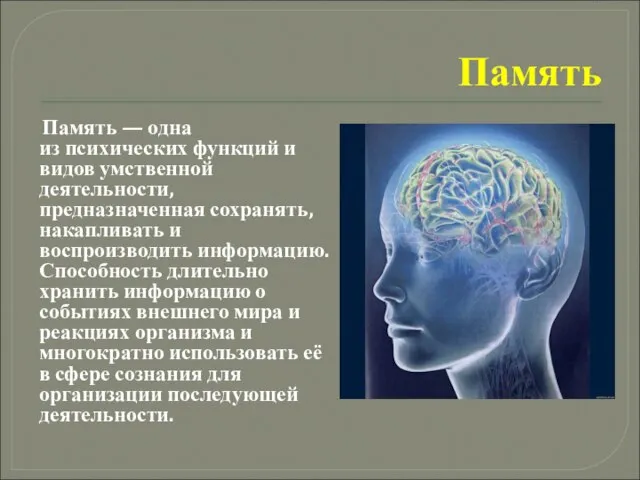 Память Память — одна из психических функций и видов умственной деятельности,