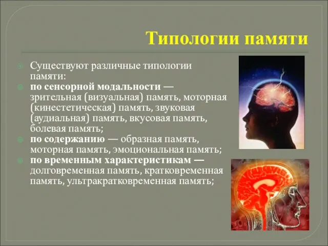 Типологии памяти Существуют различные типологии памяти: по сенсорной модальности — зрительная