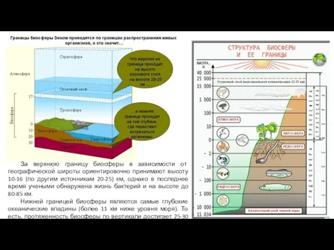 За верхнюю границу биосферы в зависимости от географической широты ориентировочно принимают